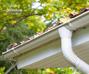 Gutter Cleaning Services in London