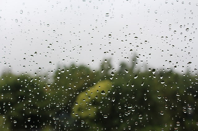 Wet Window